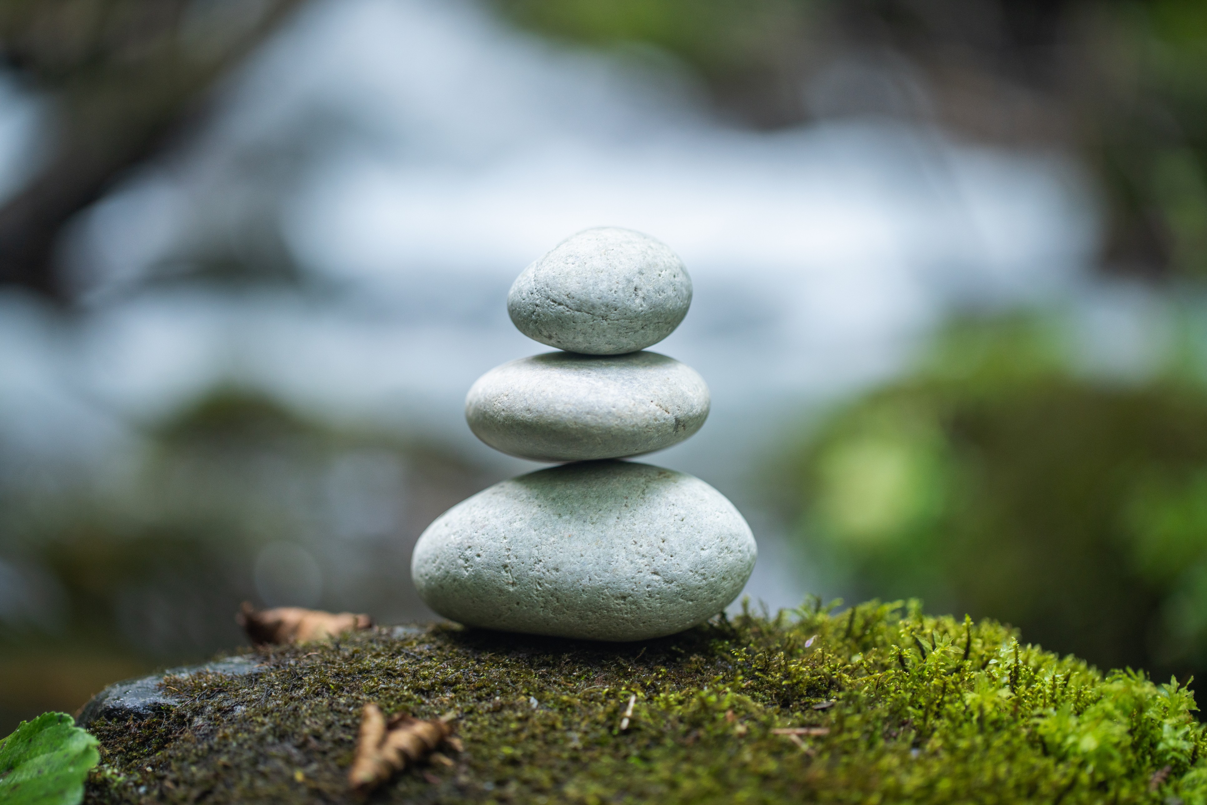 Trauma and Violence Informed Care: Module 2